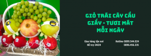 Giỏ Trái Cây Cầu Giấy - Tươi Mát Mỗi Ngày